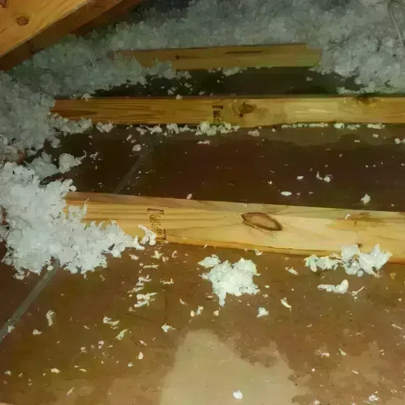 Attic Water Damage in Choctaw County, MS